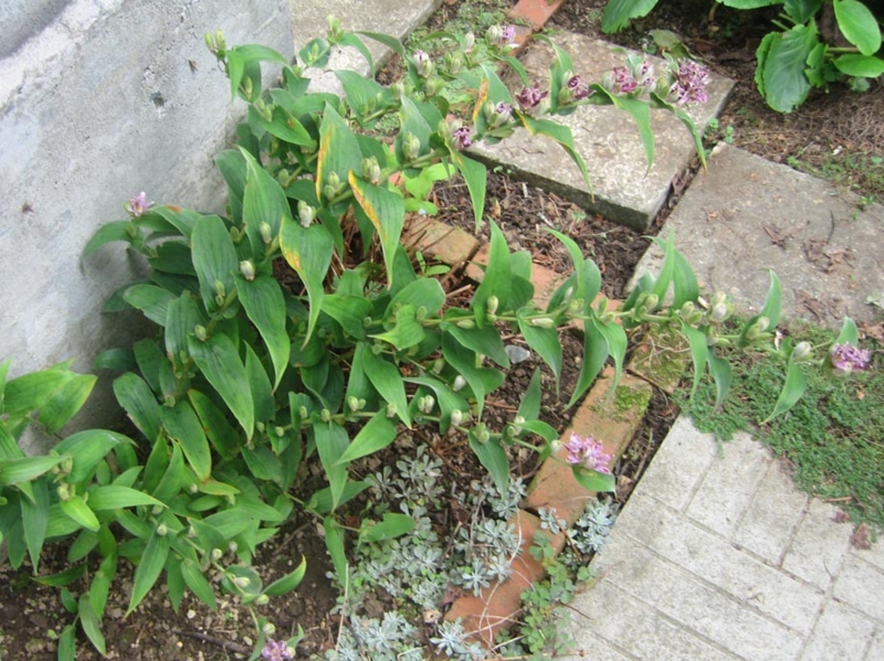 f:id:atarou:20121008063641j:image