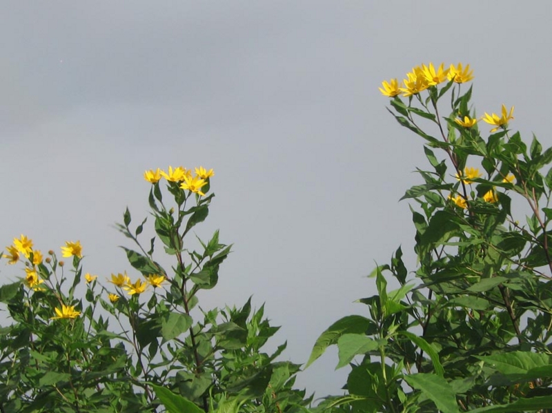 f:id:atarou:20121012062950j:image