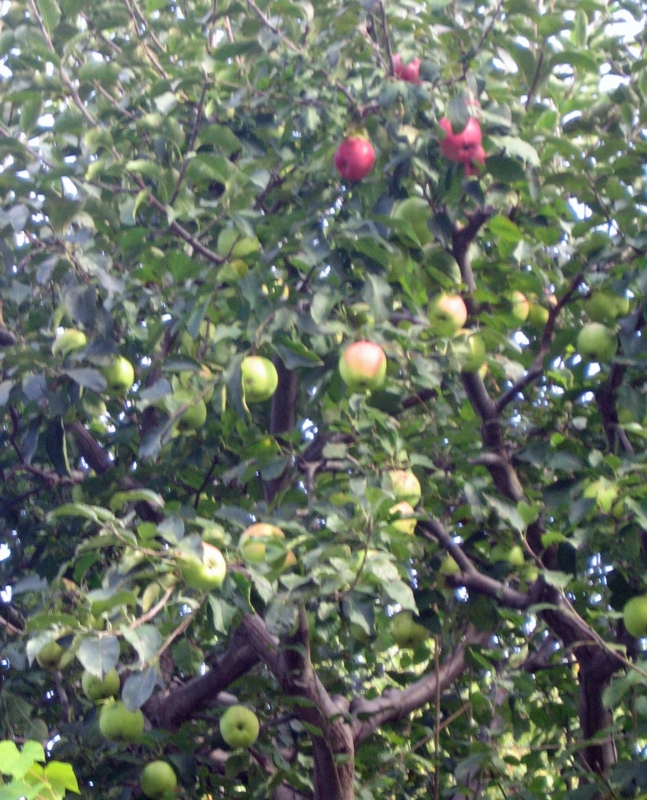 f:id:atarou:20121013055804j:image