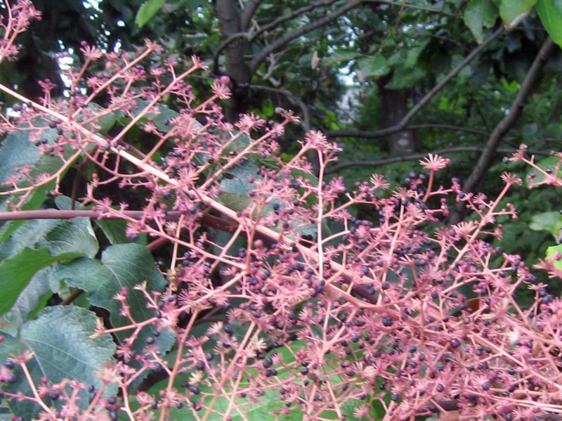 f:id:atarou:20121013061111j:image