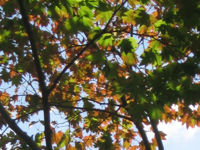 f:id:atarou:20121013062400j:image