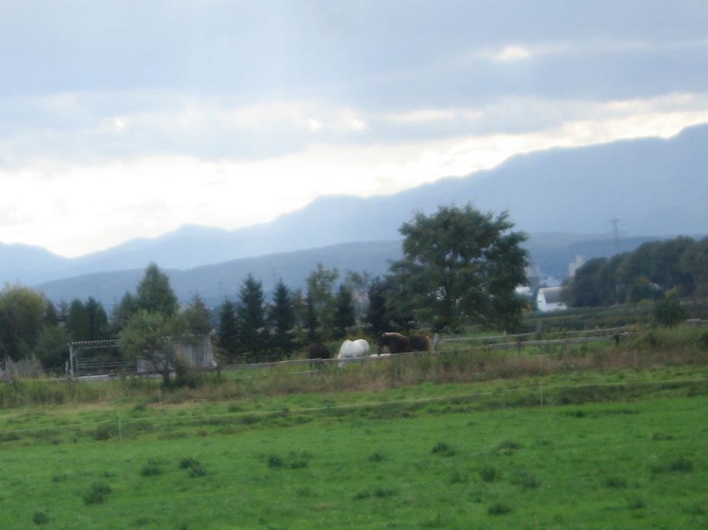 f:id:atarou:20121019063938j:image