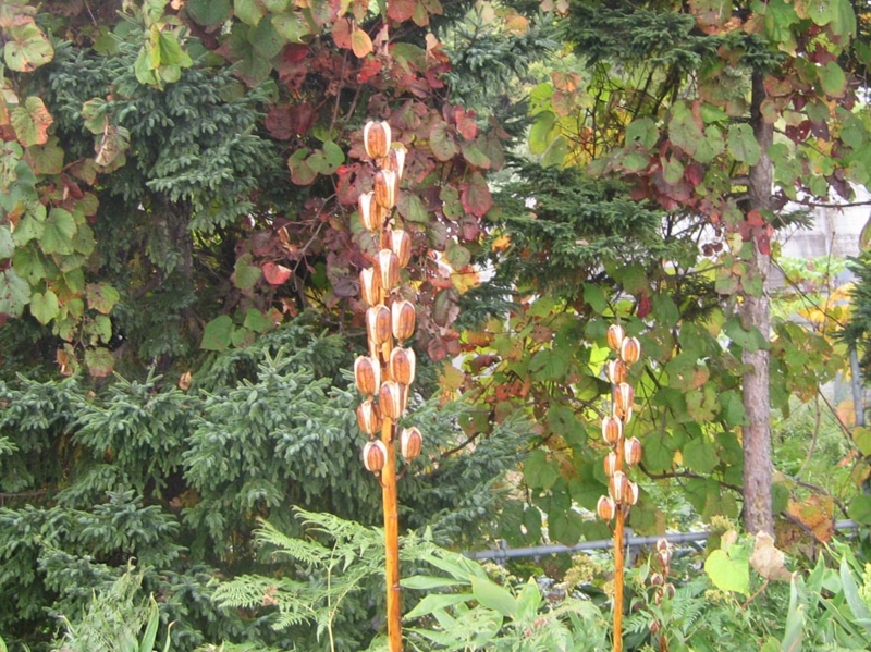 f:id:atarou:20121019070943j:image