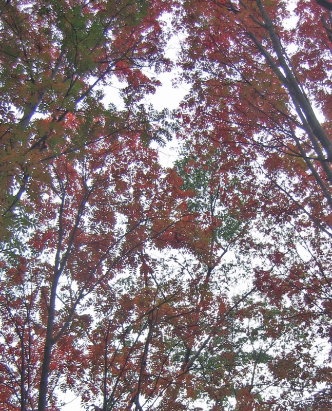 f:id:atarou:20121021064056j:image