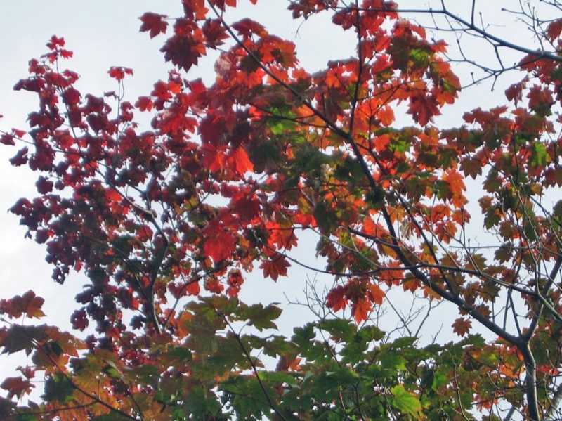 f:id:atarou:20121021065838j:image