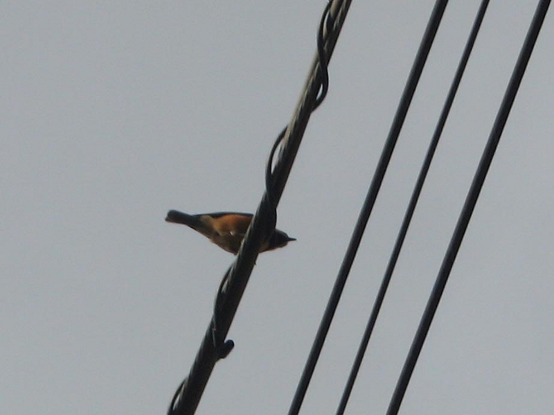 f:id:atarou:20121021070501j:image