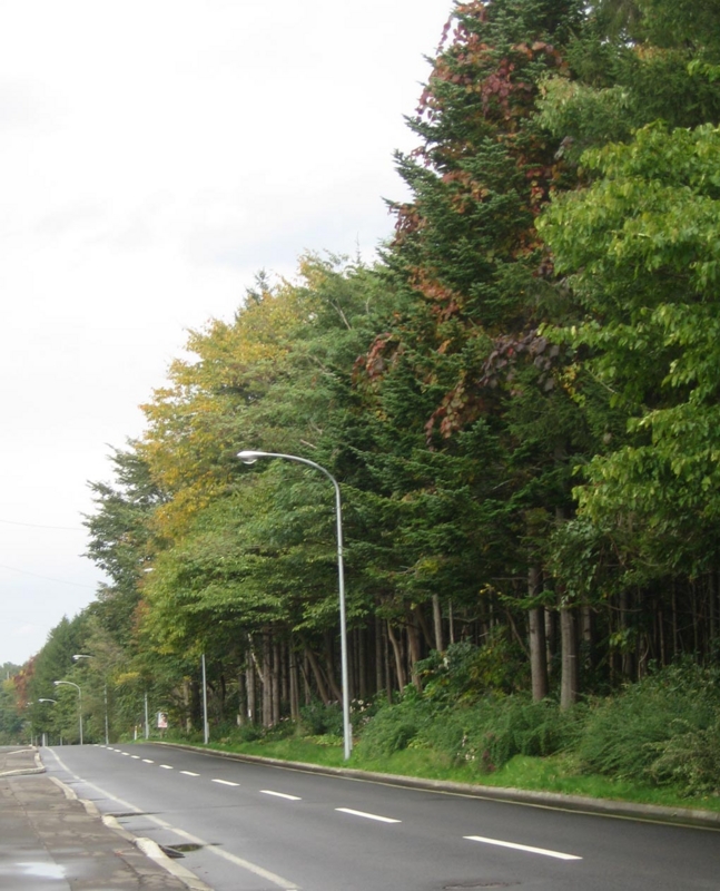 f:id:atarou:20121021071319j:image