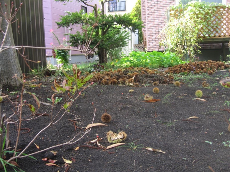 f:id:atarou:20121021071321j:image
