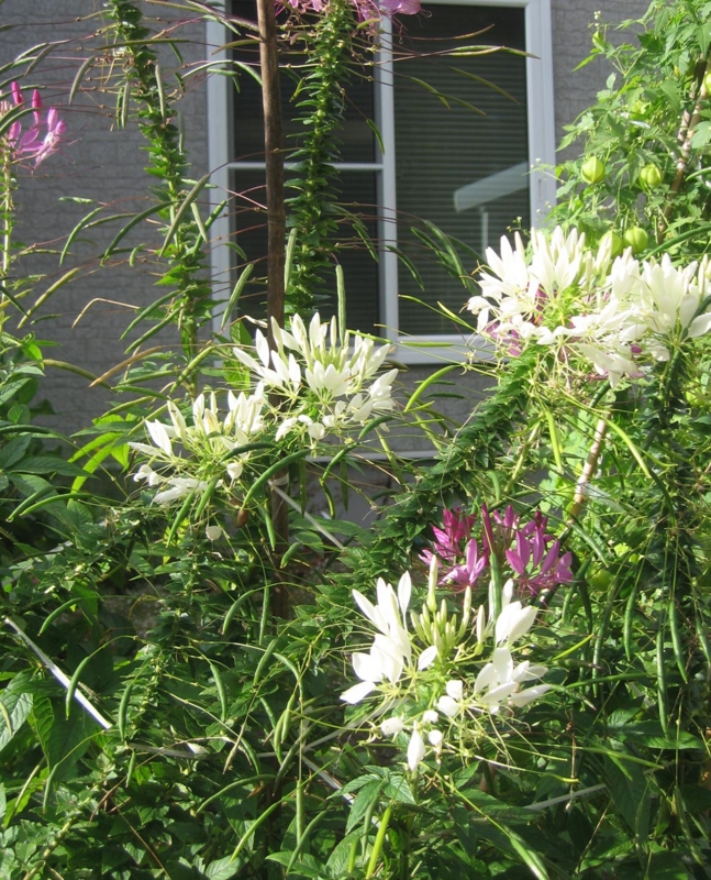 f:id:atarou:20121021071322j:image