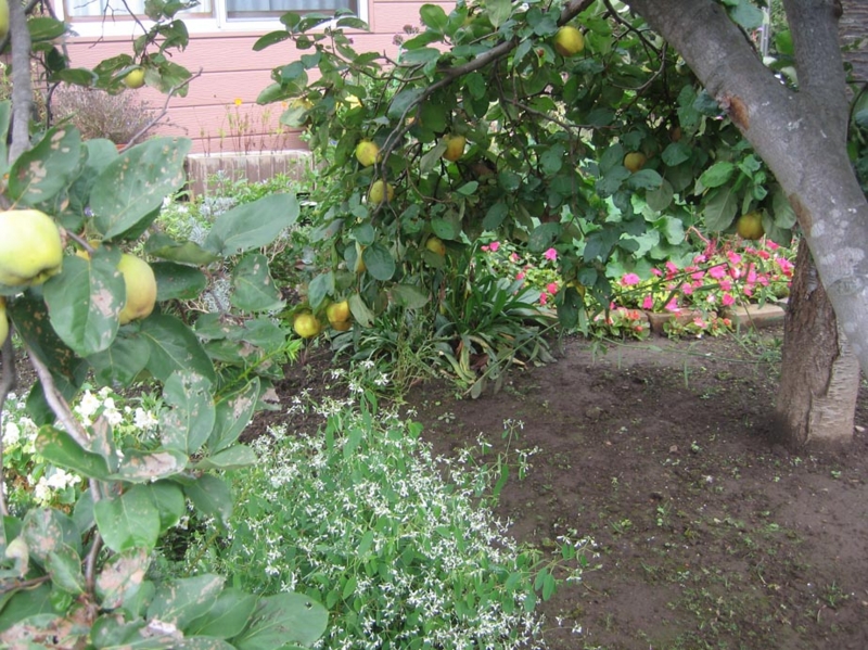 f:id:atarou:20121021072647j:image