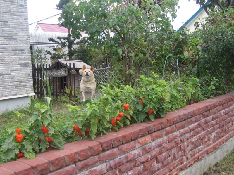 f:id:atarou:20121023071831j:image