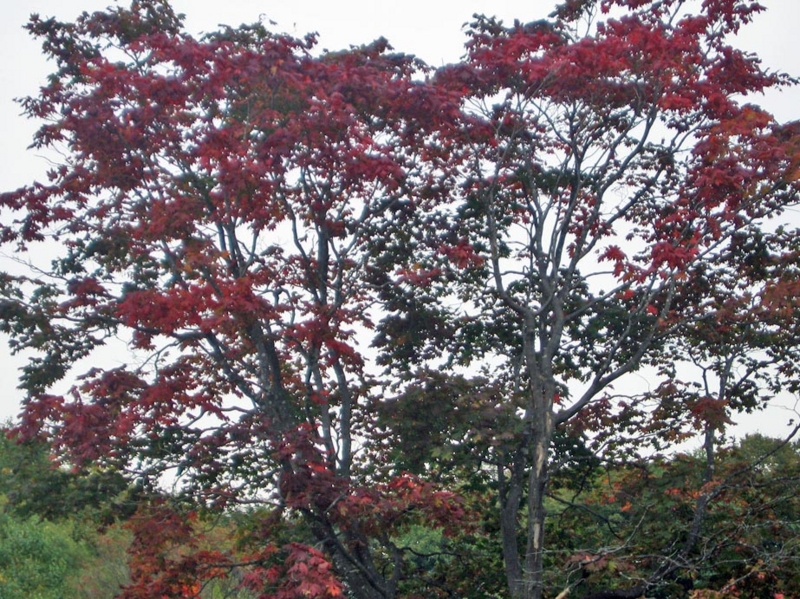f:id:atarou:20121023072712j:image
