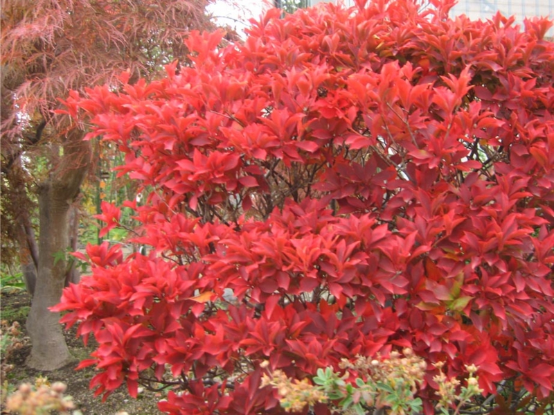f:id:atarou:20121030064051j:image