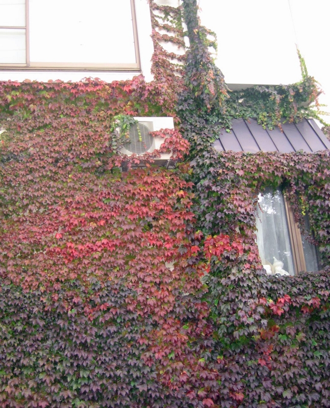 f:id:atarou:20121030064052j:image