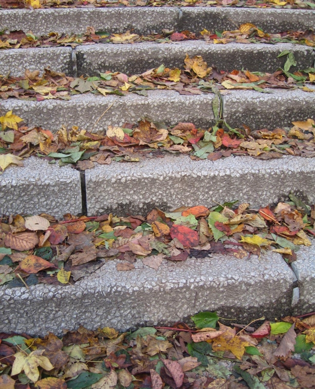 f:id:atarou:20121031064220j:image