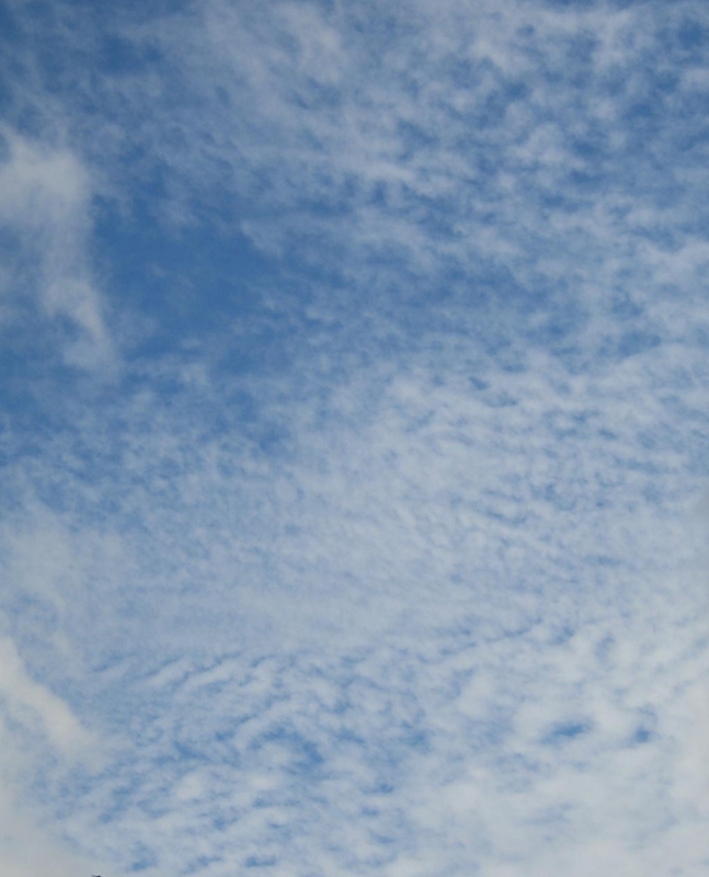 f:id:atarou:20121101070025j:image f:id:atarou:20121101070025j:image