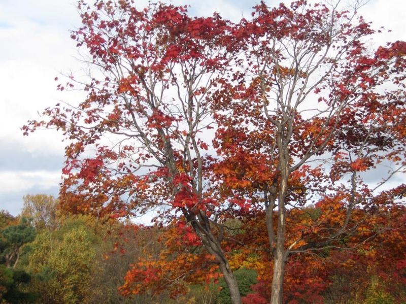 f:id:atarou:20121101071236j:image f:id:atarou:20121101071236j:image