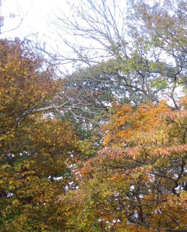 f:id:atarou:20121101071239j:image f:id:atarou:20121101071239j:image