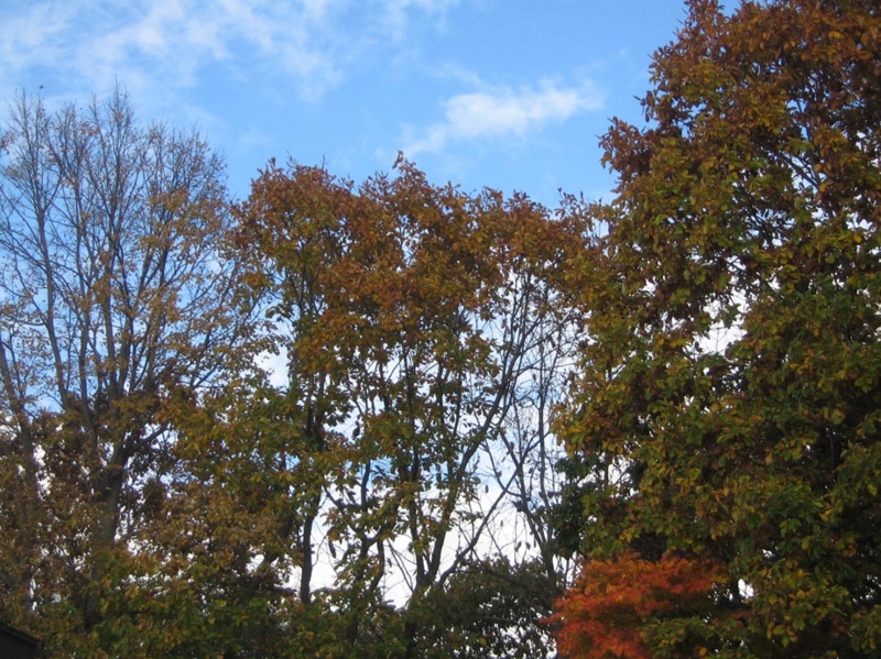 f:id:atarou:20121101071241j:image f:id:atarou:20121101071241j:image