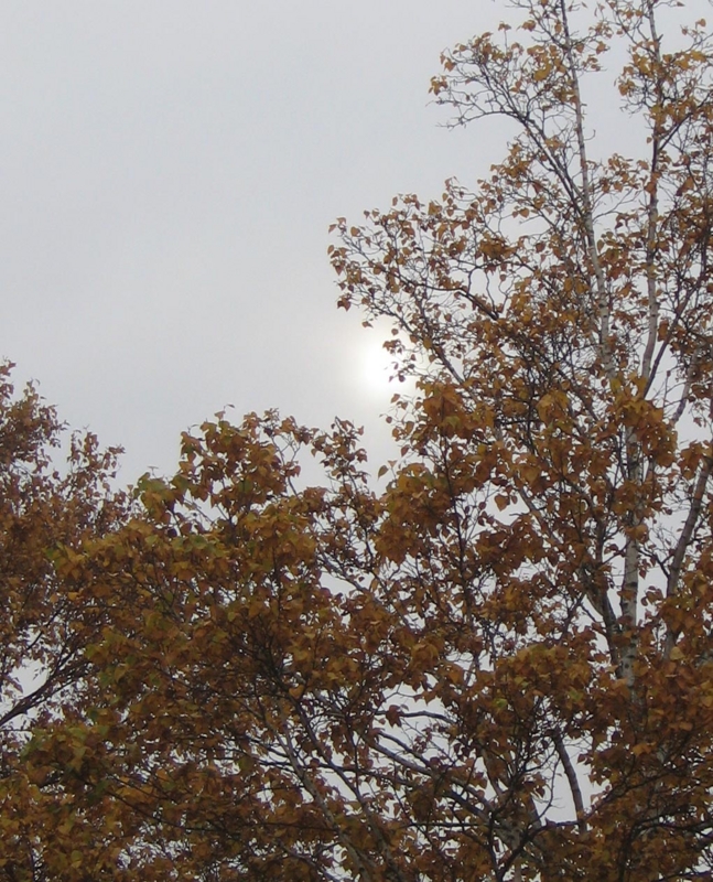 f:id:atarou:20121102062125j:image