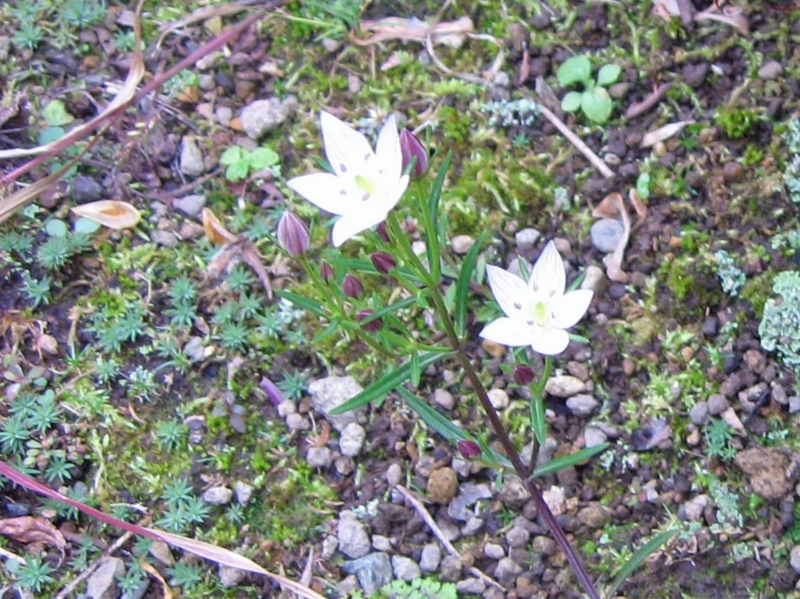 f:id:atarou:20121102065047j:image