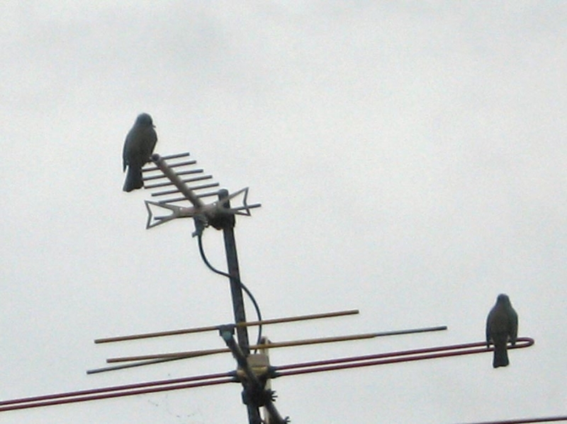 f:id:atarou:20121102072016j:image