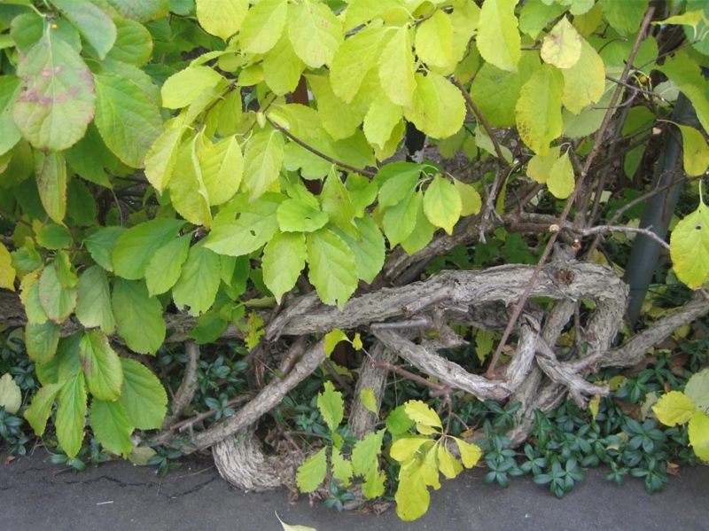 f:id:atarou:20121102072017j:image