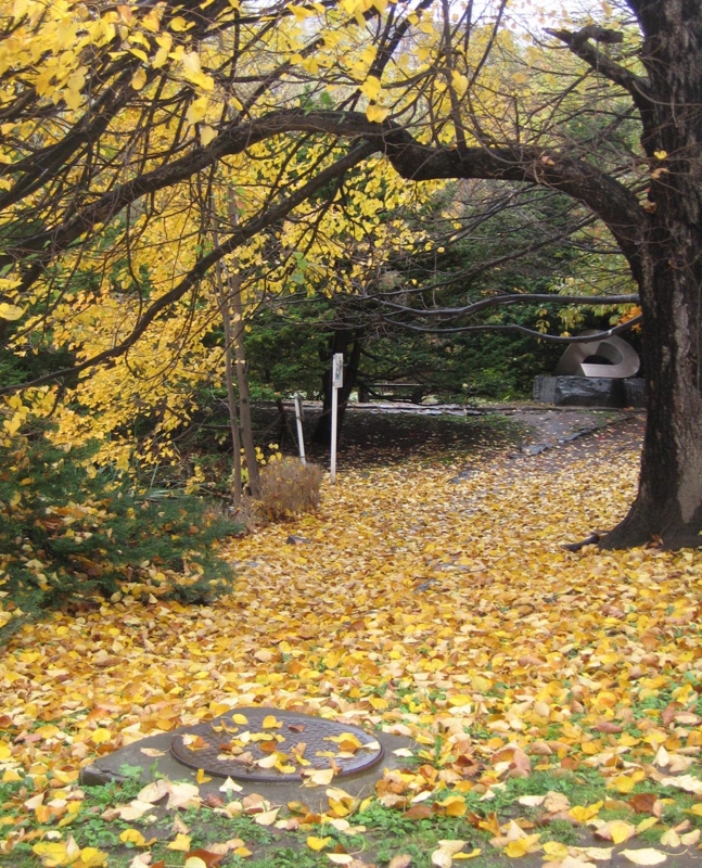 f:id:atarou:20121103063908j:image f:id:atarou:20121103063908j:image