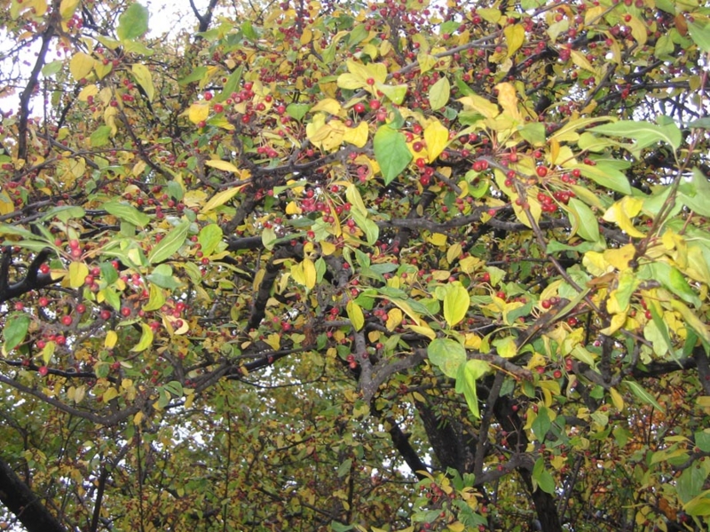 f:id:atarou:20121103065215j:image f:id:atarou:20121103065215j:image