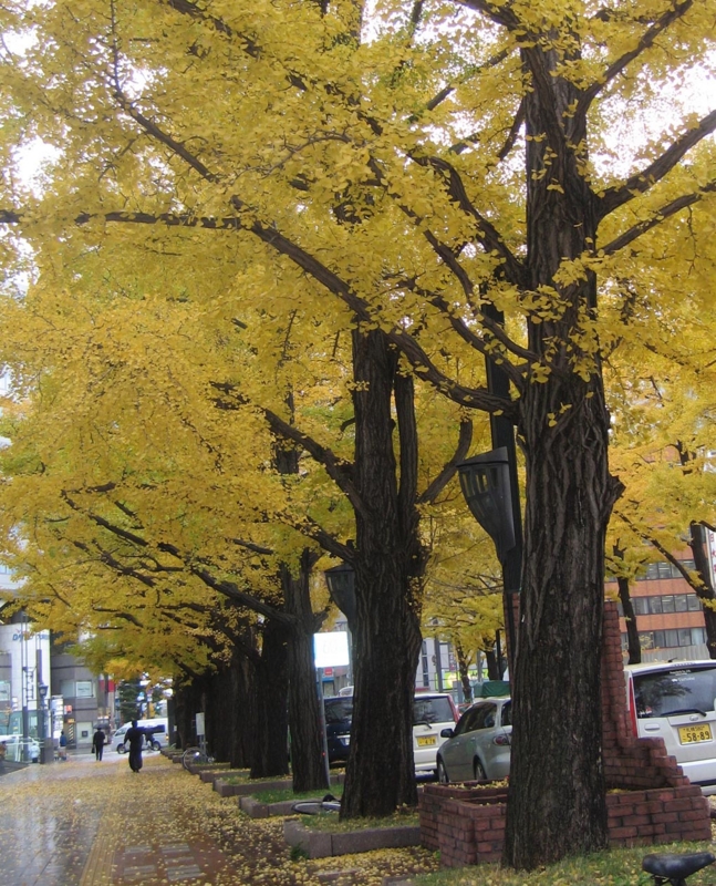 f:id:atarou:20121103070419j:image f:id:atarou:20121103070419j:image