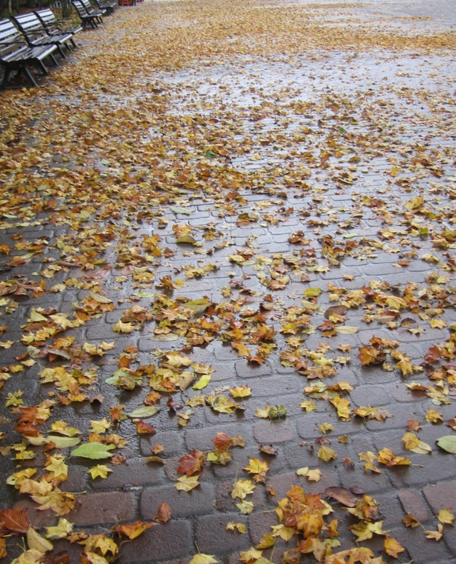 f:id:atarou:20121103070424j:image f:id:atarou:20121103070424j:image