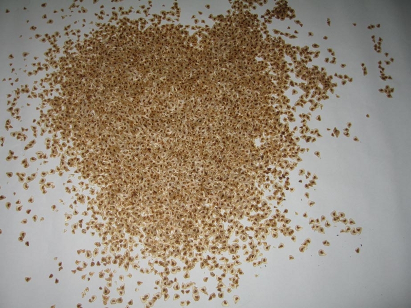 f:id:atarou:20121103071236j:image f:id:atarou:20121103071236j:image