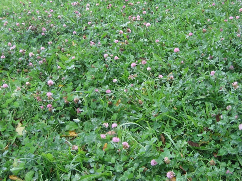 f:id:atarou:20121104071909j:image