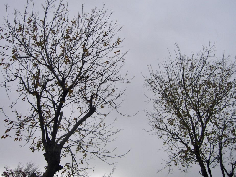 f:id:atarou:20121104072638j:image