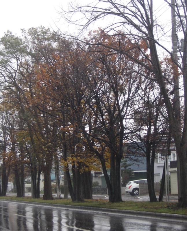 f:id:atarou:20121104073021j:image