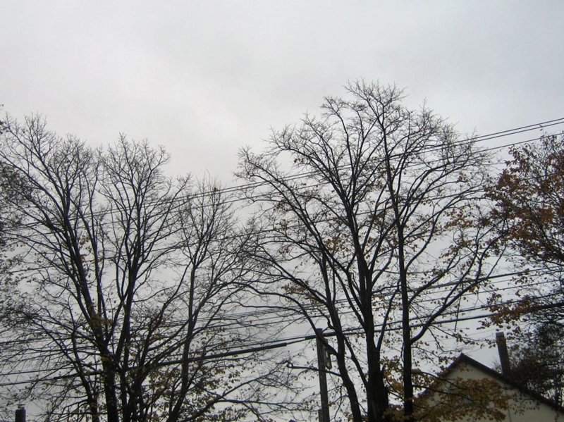 f:id:atarou:20121104073329j:image