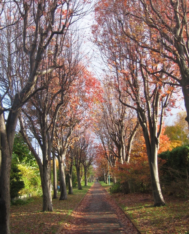 f:id:atarou:20121105061135j:image