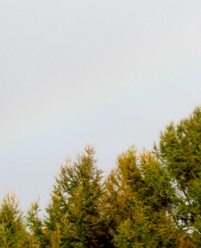 f:id:atarou:20121105065058j:image