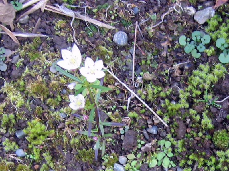 f:id:atarou:20121106061537j:image