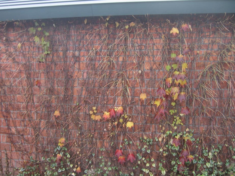 f:id:atarou:20121106062700j:image