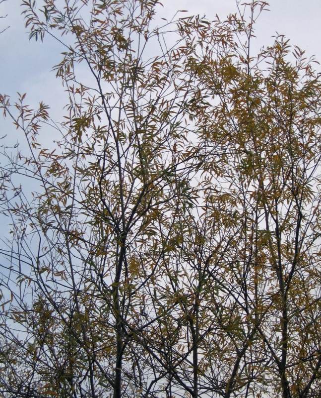 f:id:atarou:20121106170157j:image