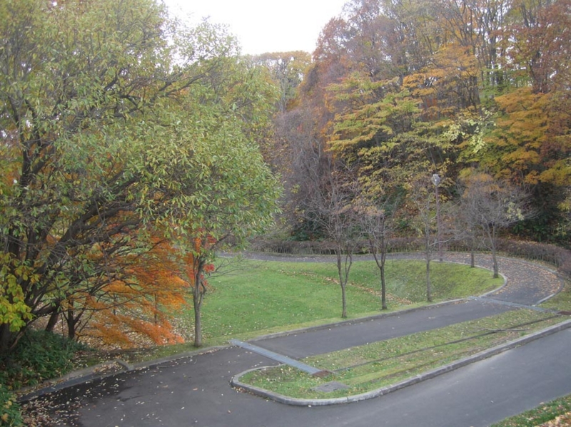 f:id:atarou:20121106170159j:image
