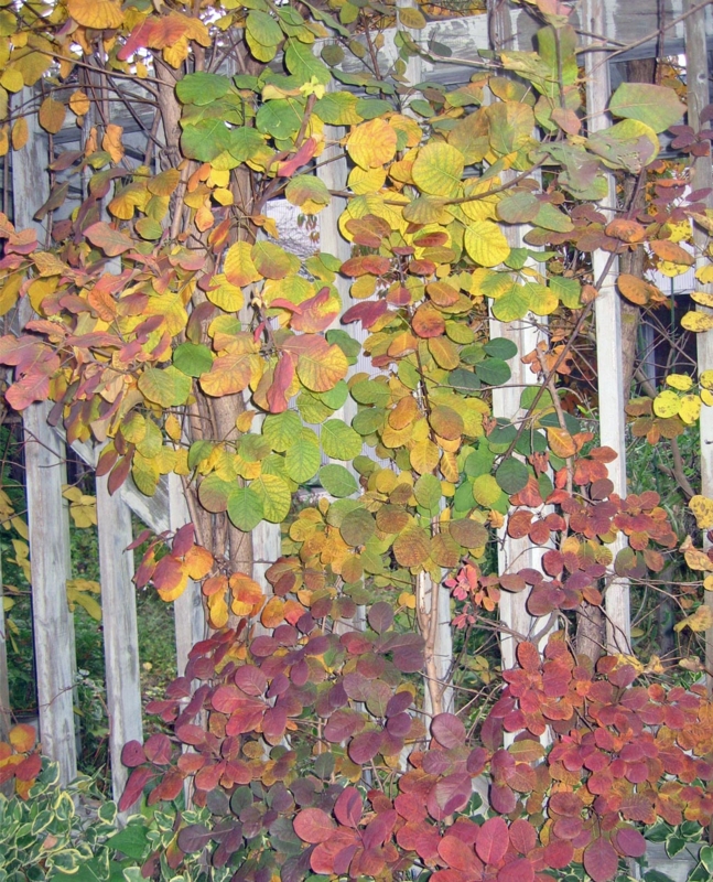 f:id:atarou:20121107070748j:image