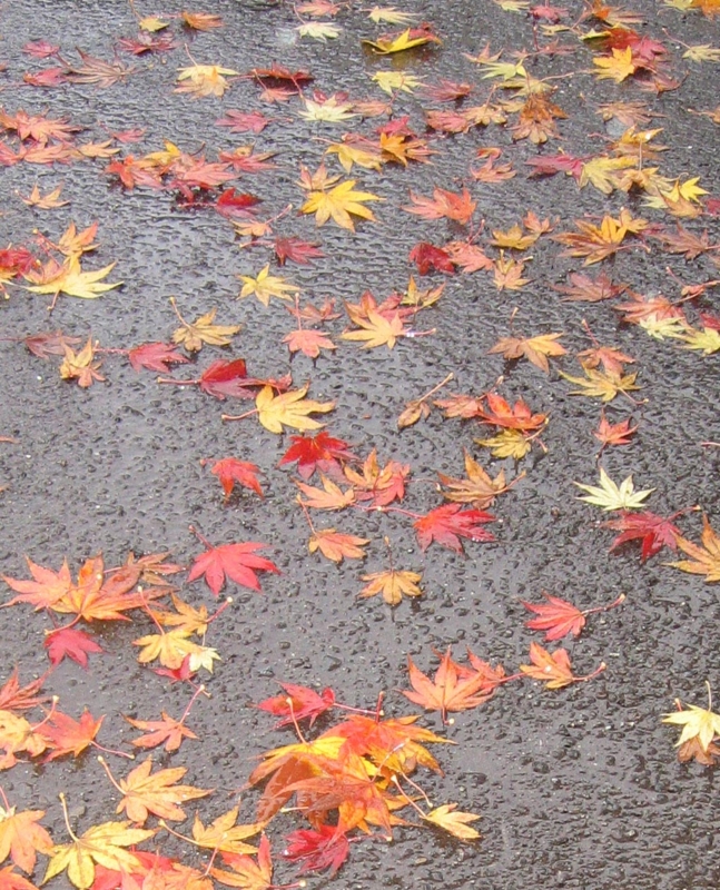 f:id:atarou:20121108062320j:image
