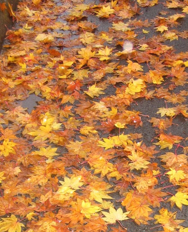 f:id:atarou:20121108064920j:image