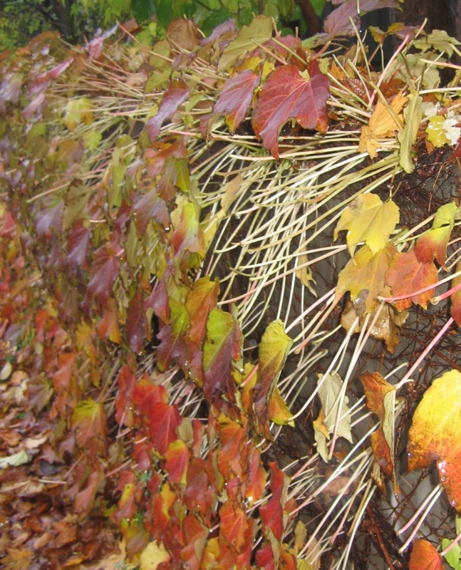 f:id:atarou:20121108065741j:image