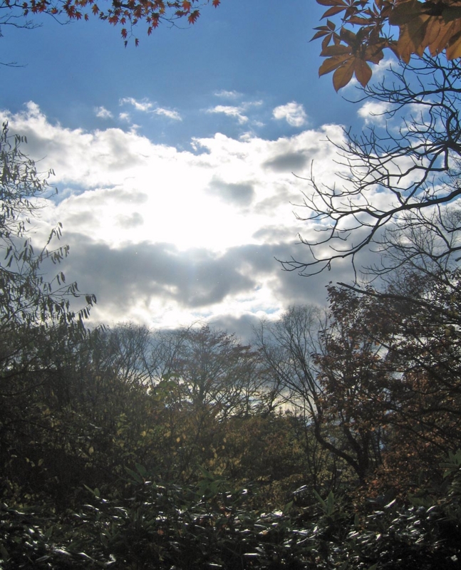 f:id:atarou:20121109064715j:image