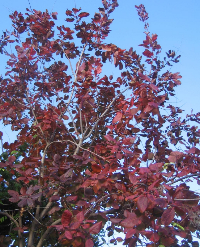 f:id:atarou:20121109065908j:image