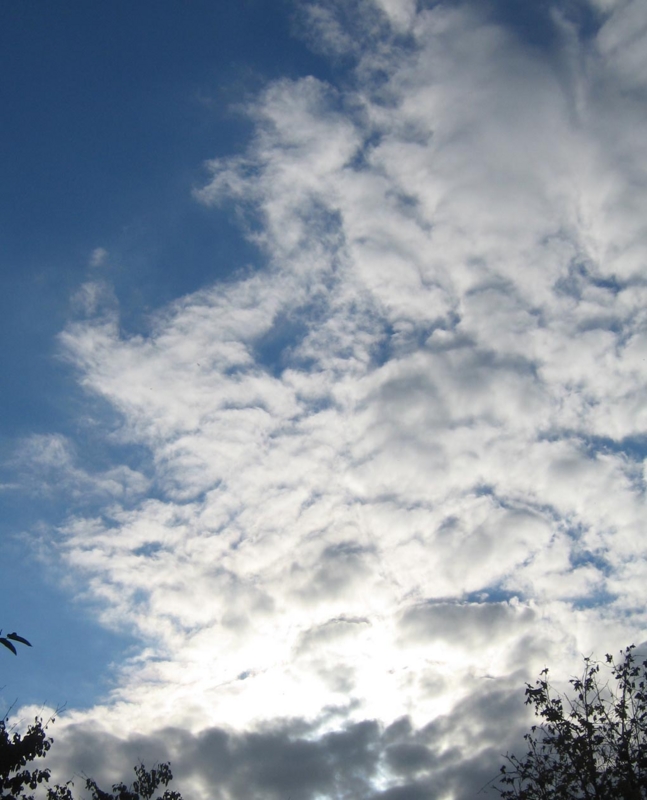 f:id:atarou:20121109070917j:image