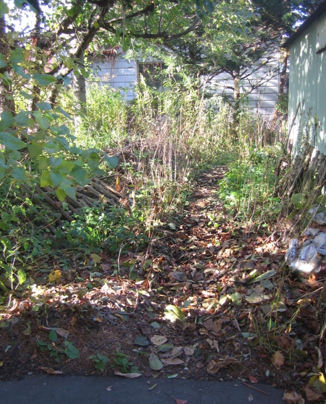 f:id:atarou:20121112071737j:image
